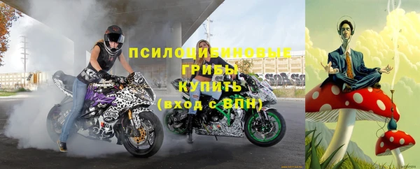 ГАЛЛЮЦИНОГЕННЫЕ ГРИБЫ Козловка