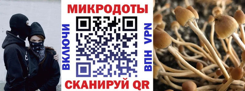 Псилоцибиновые грибы MAGIC MUSHROOMS  Бийск 